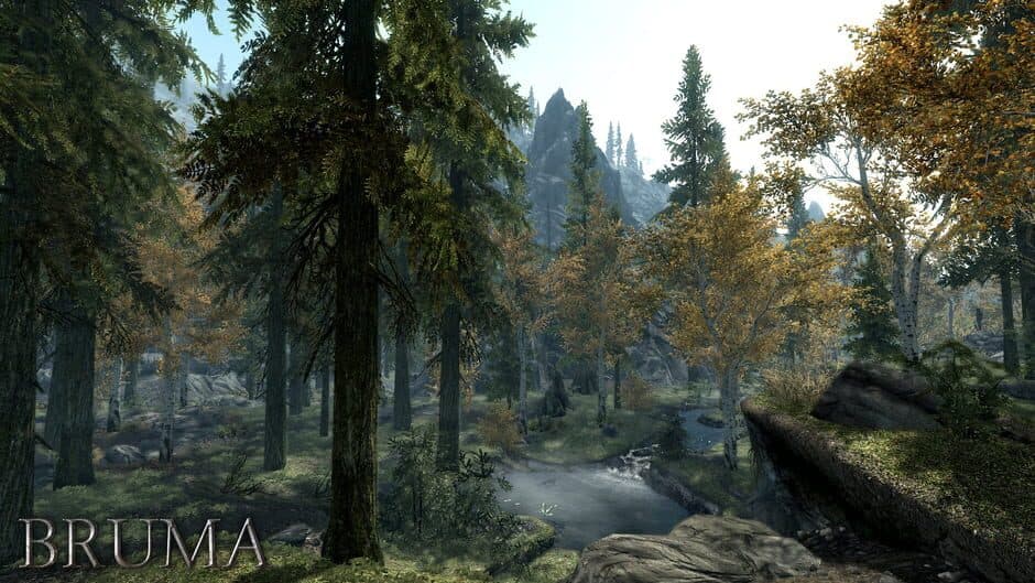 Скриншот 1 из Beyond Skyrim: Bruma