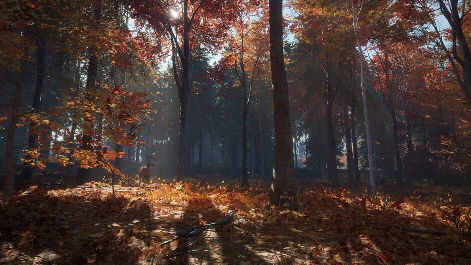 Скриншот 1 из TheHunter: Call of the Wild - New England Mountains