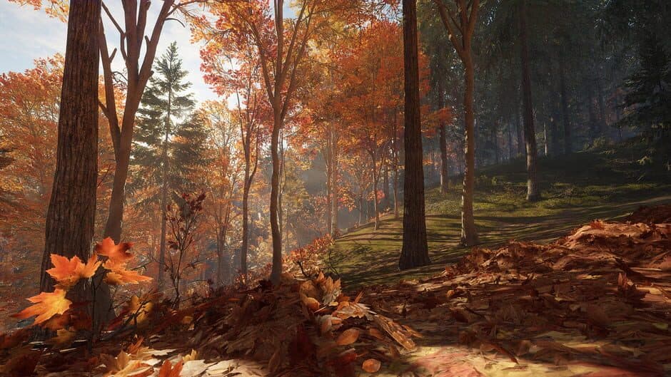 Скриншот 9 из TheHunter: Call of the Wild - New England Mountains