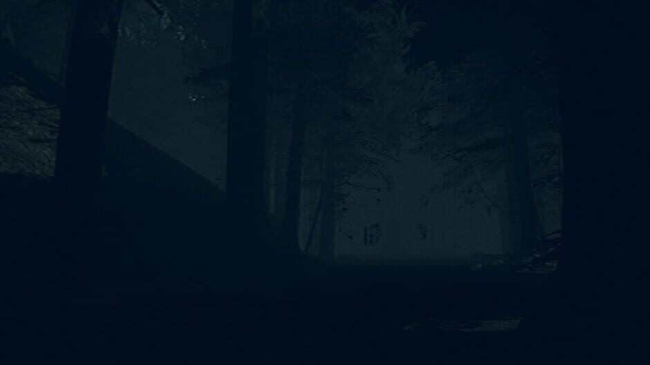Скриншот 6 из The Children of The Woods: Lost Tape