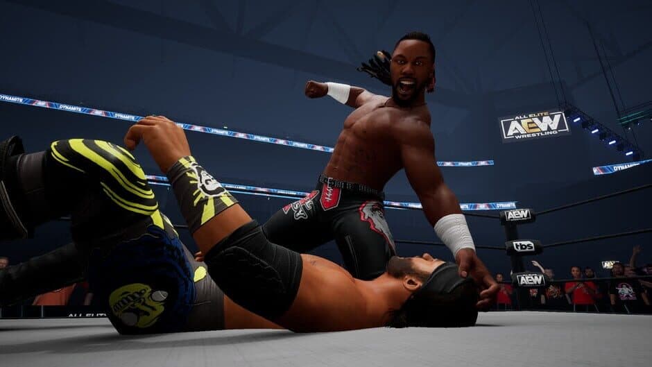 Скриншот 3 из All Elite Wrestling: Fight Forever - Season Pass 3