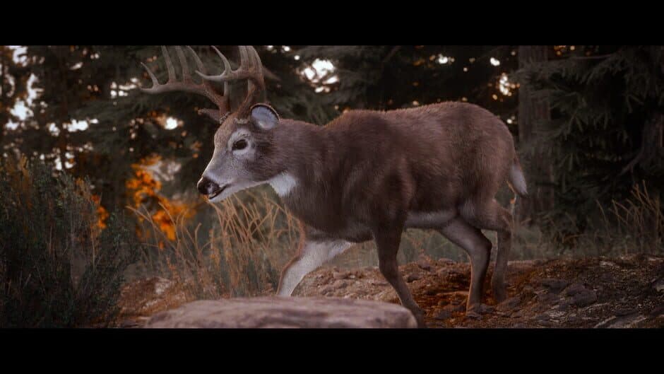 Скриншот 4 из Hunting Simulator 3