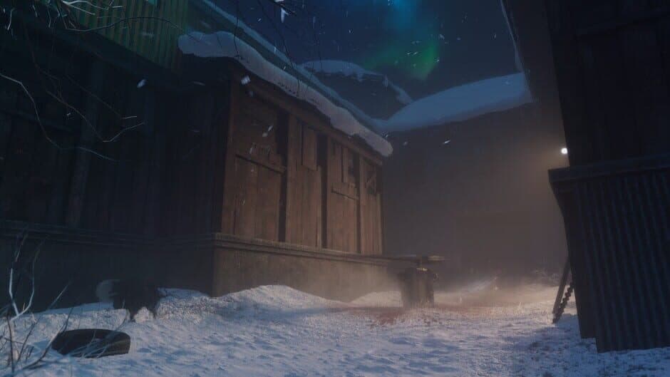 Скриншот 1 из Project Borealis: Prologue