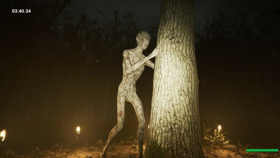 Скриншот 3 из Slender: Reborn