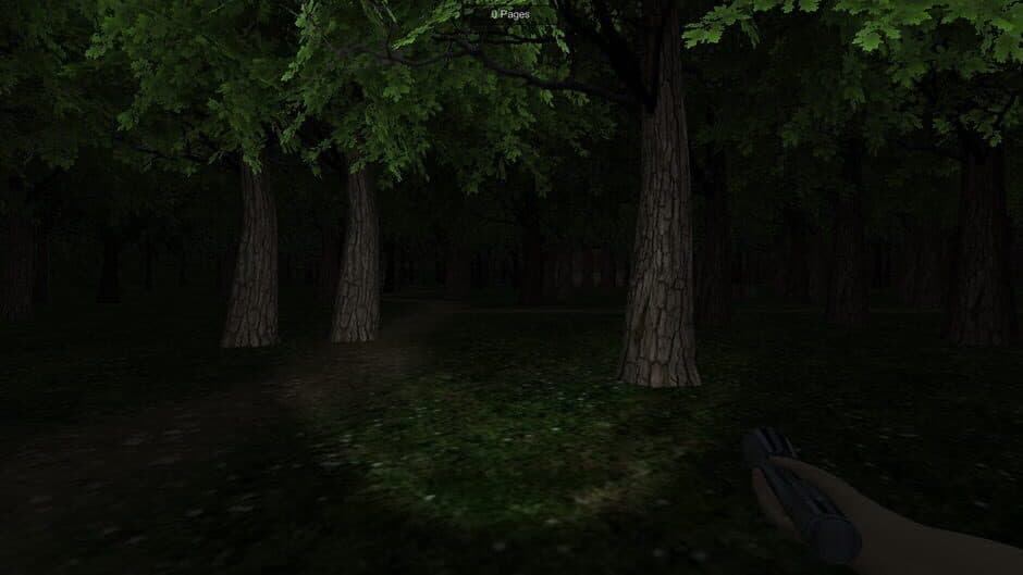 Скриншот 1 из The Dawn Of Slenderman