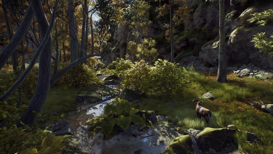 Скриншот 3 из Way of the Hunter: Ultimate Edition