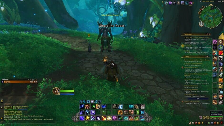 Скриншот 1 из World of Warcraft: Dragonflight - Guardians of the Dream