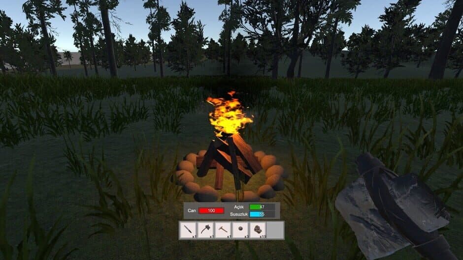 Скриншот 5 из Accursed Isle: Survival