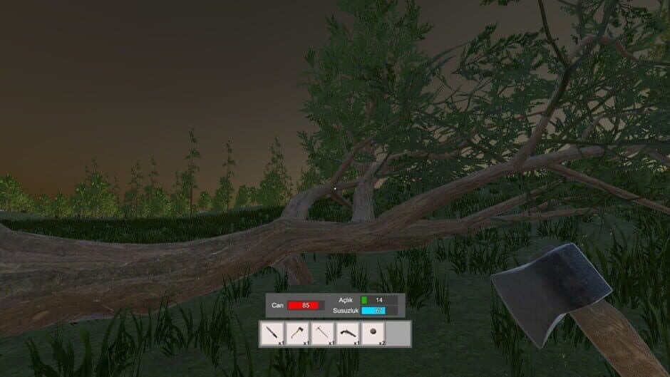Скриншот 10 из Accursed Isle: Survival