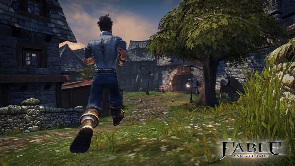 Скриншот 4 из Fable Anniversary